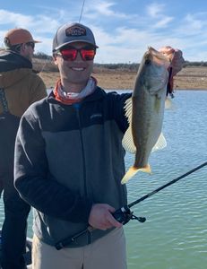 One fishing reel in Texas