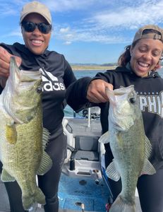 Two Florida Bass fish, each measuring 24 inches, caught in Lago Vista