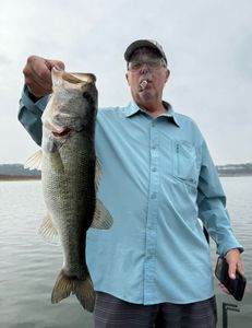 A Florida bass caught in Lago Vista