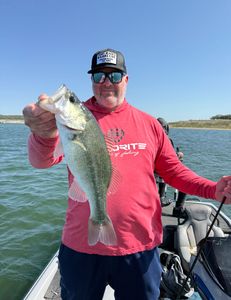Angler catches a Florida Bass in TX
