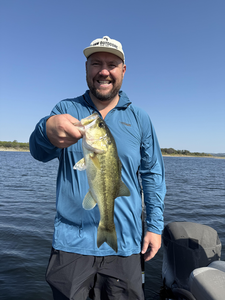 Nice largemouth bass using light tackle on the lake today!