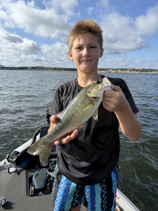 Nice largemouth bass using fly fishing and light tackle on the lake today!