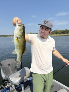 Nice largemouth bass using light tackle! Great day on the water.