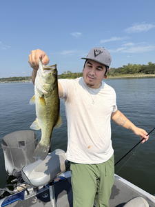 Nice largemouth bass caught on light tackle! Great day on the water.
