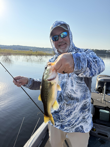 Nice largemouth bass caught using fly fishing and light tackle in clear conditions!