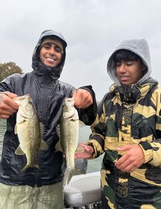 Two largemouth bass caught in Lago Vista