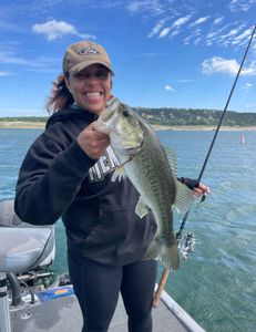 Fishing for a Largemouth Bass in TX