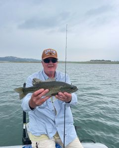 Largemouth bass caught while fishing in TX
