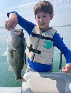 Largemouth bass caught fishing in TX