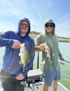 Two largemouth bass caught fishing in TX