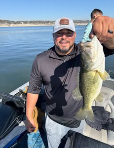 Largemouth bass caught while fishing in TX