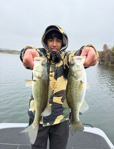 Two largemouth bass caught while fishing in TX