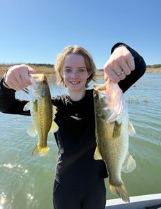 Two largemouth bass in a fishing catch