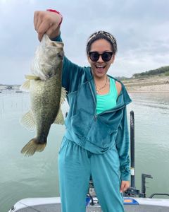 Largemouth bass fishing in Lago Vista