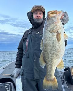 Largemouth Bass caught in Lago Vista
