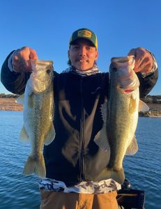 Largemouth Bass caught while fishing in Lago Vista