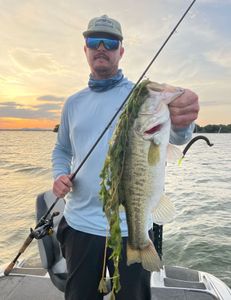Largemouth bass caught in Lago Vista