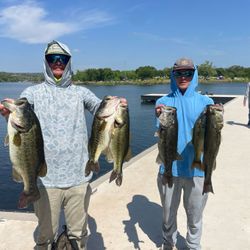 5 largemouth bass caught in Lago Vista