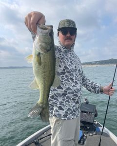 Largemouth Bass caught in Lago Vista
