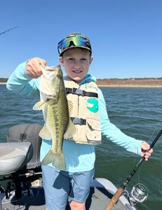 Largemouth bass caught while fishing in Lago Vista