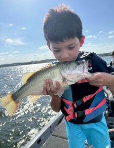 Largemouth bass caught while fishing in Lago Vista
