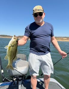 Largemouth bass caught in Lago Vista