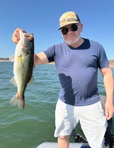 Largemouth Bass caught in Lago Vista