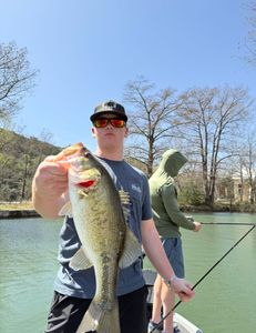 Largemouth Bass caught in Lago Vista