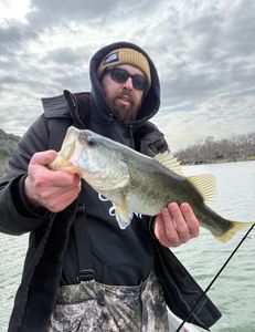 Largemouth bass caught in Lago Vista