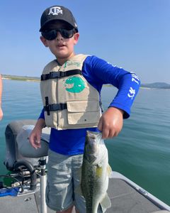 Largemouth Bass caught while fishing in Lago Vista