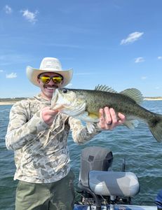 Largemouth bass caught in TX