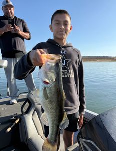 Largemouth bass caught in TX
