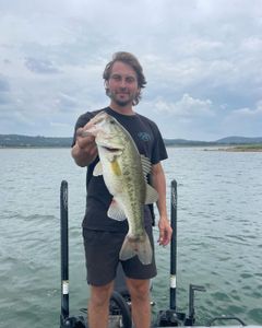A largemouth bass caught in Texas while fishing
