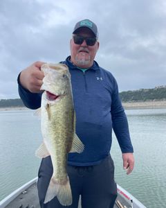 Largemouth bass caught in TX