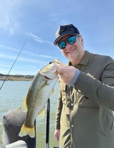 Largemouth bass caught in TX