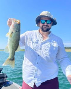Largemouth bass caught fishing in TX