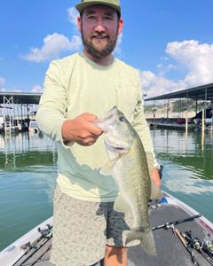 Largemouth bass caught fishing in TX