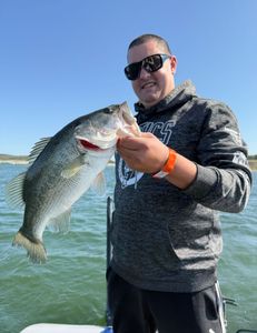 Largemouth Bass, fishing in TX
