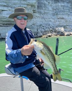 Largemouth bass caught in TX