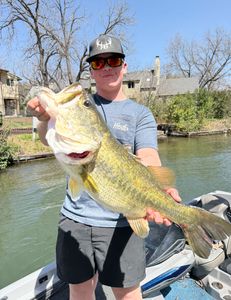Angler with a single, 31-inch fish caught in TX