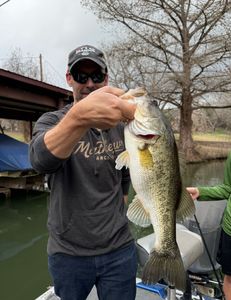 Lone angler fishing in Lago Vista
