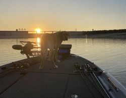 Scenic landscape of Lago Vista