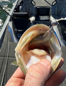 A single fishing rod and reel against a backdrop of the state of TX.