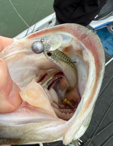 One fishing adventure in TX