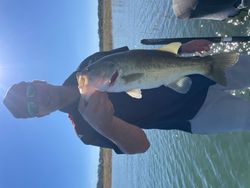 One fishing rod in Lago Vista