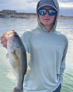 Largemouth bass caught in TX