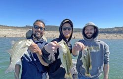 3 white bass and largemouth bass caught in Lago Vista