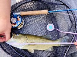 A picture of a fishing trip in TN