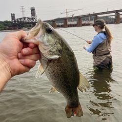 Largemouth Bass caught while fishing in TN
