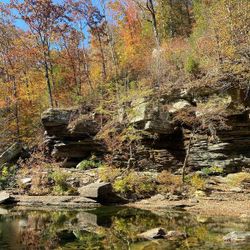 Scenic landscape of Tennessee